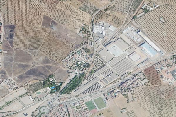 Foto 4f0528e3-5256-4706-874d-5a7322b104d1. Pis a Linarejos Linares