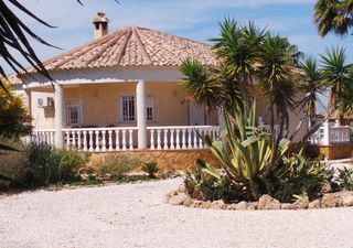 Casale in Catral. Gran oportunidad de inversión en subastas de activos!finca rústi