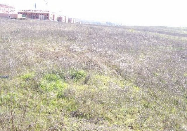 Foto d609215b-3bd0-441a-add7-a6c45a56bc7c. Masia a Norte Mérida