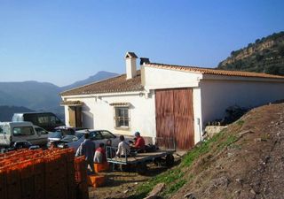 Country house in Algímia de Alfara. Gran oportunidad de inversión en subastas de activos!finca rústi