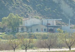 Mas à Mula. Gran oportunidad de inversión en subastas de activos!finca rústi