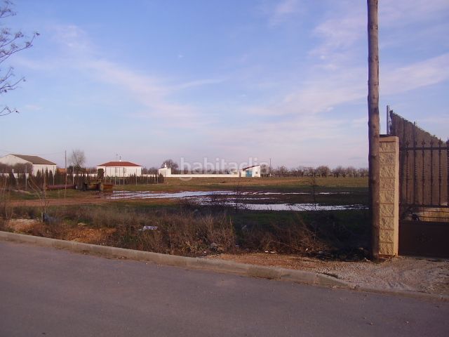 Foto 5726e518-9c3d-4cc9-bace-16a3e1d7cf24. Wohngrundstück in Pozoamargo
