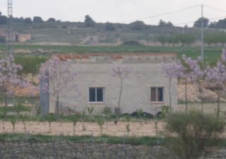 Mas à Yecla