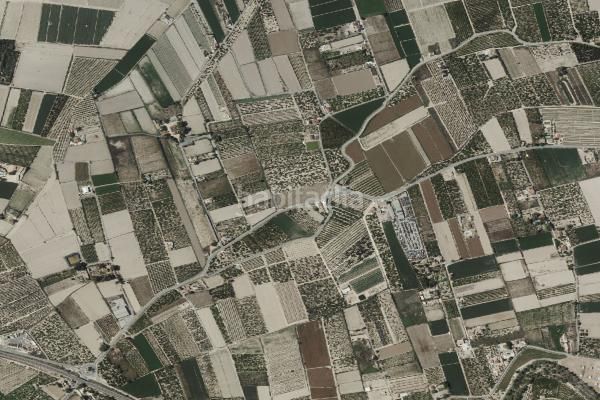 Foto 1ee38469-d970-4650-9434-7135c258f52a. Masía gran oportunidad de inversión en subastas de activos!finca rústica en venta , alicantealacant.buscas una inversión segur en Rojales
