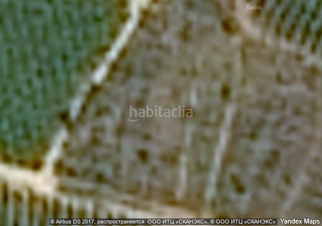 Foto 9fde9c1c-7f3f-4eaf-9386-042ba0f5f846. Bauernhof in Alcossebre