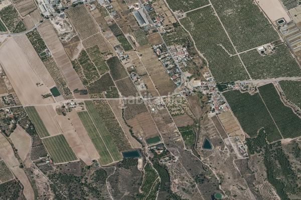 Foto 95d49bbf-84eb-4822-b100-13777e6445d1. Pis a Sangonera la Seca Murcia