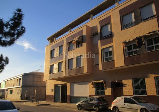 Foto a187de1c-6c66-4d74-9567-dcef0cdc2f79. Pis a Cieza