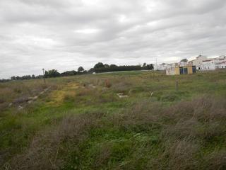 Terreny residencial a Villanueva del Ariscal. Gran oportunidad de inversión en subastas de activos!solar en ve