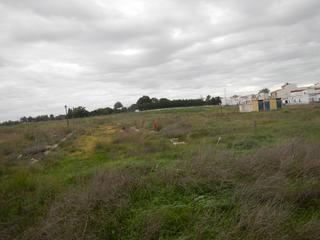 Terreny residencial a Villanueva del Ariscal. Gran oportunidad de inversión en subastas de activos!solar en ve