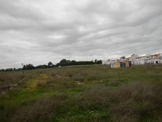 Terreny residencial a Villanueva del Ariscal. Gran oportunidad de inversión en subastas de activos!solar en ve
