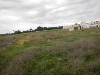 Terreny residencial a Villanueva del Ariscal. Gran oportunidad de inversión en subastas de activos!solar en ve