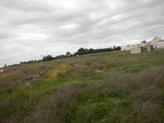 Terreny residencial a Villanueva del Ariscal. Gran oportunidad de inversión en subastas de activos!solar en ve