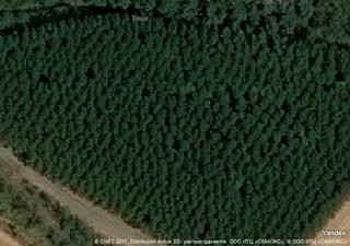 Masía en Cortes y Graena. Gran oportunidad de inversión en subastas de activos!finca rústi