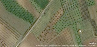 Mas à Gibraleón. Gran oportunidad de inversión en subastas de activos!finca rústi