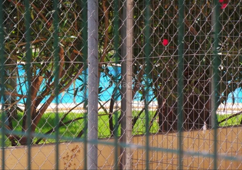 Foto 402bde00-2281-4fbc-842e-d70620b032c4. Pis a Juzgados - Plaza de Toros Benidorm
