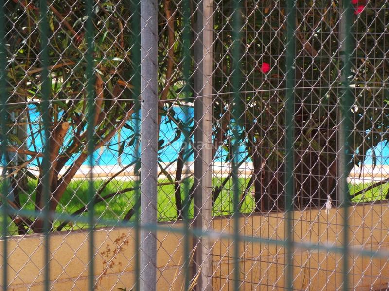 Foto db236fc8-4b26-4b35-b00b-2c4729b1a459. Pis a Juzgados - Plaza de Toros Benidorm