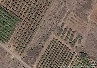 Masia a Urbanitzacions i Pedanies Nord. Gran oportunidad de inversión en subastas de activos!finca rústi