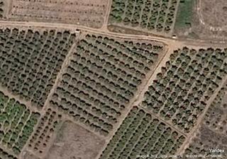 Masia a Urbanitzacions i Pedanies Nord. Gran oportunidad de inversión en subastas de activos!finca rústi