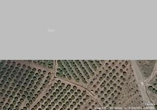 Masia a Benifairó de les Valls. Gran oportunidad de inversión en subastas de activos!finca rústi