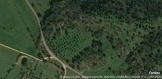 Mas à Belvís de Monroy. Gran oportunidad de inversión en subastas de activos!finca rústi