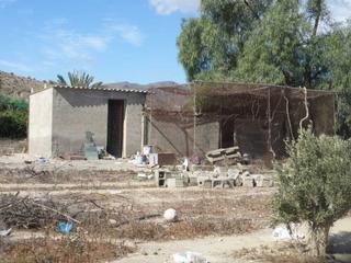 Mas à Pechina. Gran oportunidad de inversión en subastas de activos!finca rústi