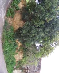 Terreny residencial a Maria de la Salut. Gran oportunidad de inversión en subastas de activos!solar en ve