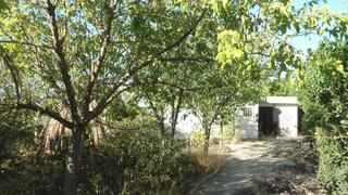 Pis a Alcanar. Gran oportunidad de inversión en subastas de activos!otros en ve