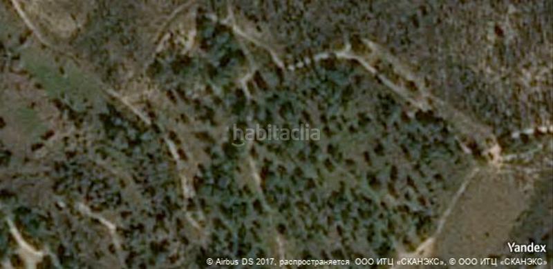 Foto 7f1b7317-8525-46d4-b4ec-98cbcc0bb12c. Masia a Bonares