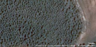 Terrain résidentiel à Mediona. Gran oportunidad de inversión en subastas de activos!solar en ve