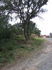 Terreno residencial en Llagostera. Gran oportunidad de inversión en subastas de activos!solar en ve