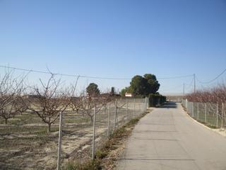 Bauernhof in Cieza. Gran oportunidad de inversión en subastas de activos!finca rústi