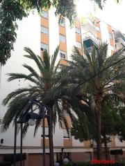 Pis a Molí de Vent. Gran oportunidad de inversión en subastas de activos!vivienda en