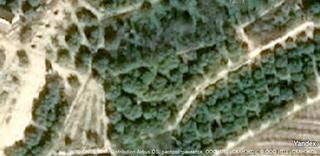 Masia a Villanueva del Río Segura. Gran oportunidad de inversión en subastas de activos!finca rústi