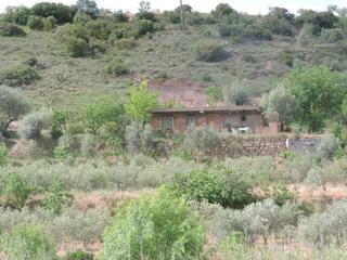 Bauernhof in Cogul (El). Gran oportunidad de inversión en subastas de activos!finca rústi