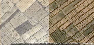 Bauernhof in Jumilla. Gran oportunidad de inversión en subastas de activos!finca rústi