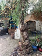 Haus in Hispanidad - Vivar Téllez