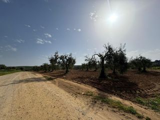 Terreno residenziale in Pilas