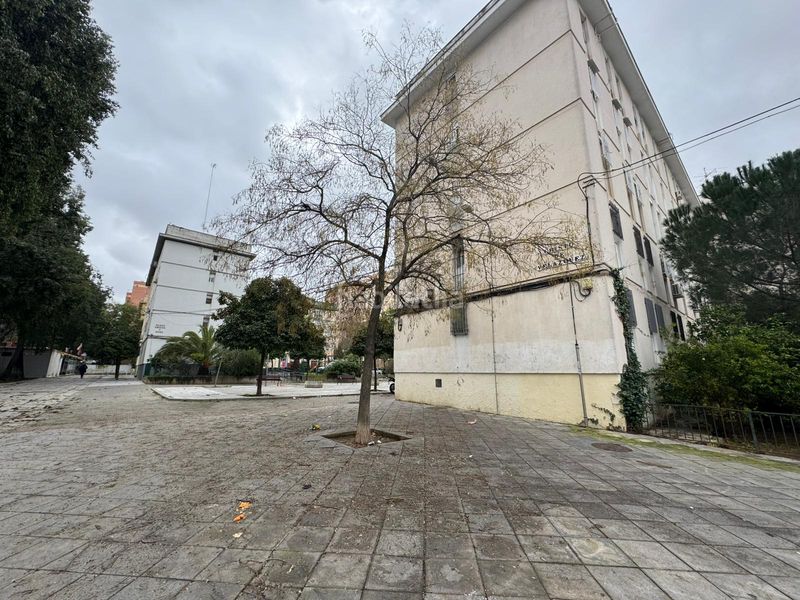 Foto 6a111b17-b09d-46f6-ab6a-dd79c5dfe744. Pis a San Pablo Sevilla