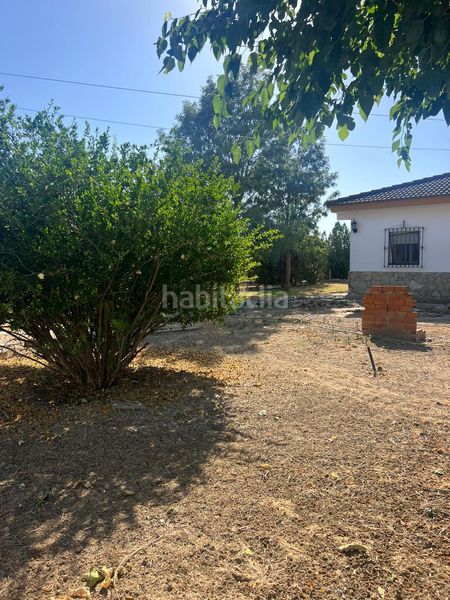 Foto 145a9161-b153-43cd-8230-1727bff1c017. Casa amb aparcament piscina a Carmona