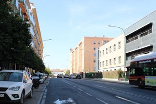 Pis a San Carlos - San José