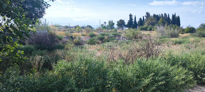 Foto 379c152c-eeb8-4d49-b25c-8b74c9beba36. Landgut in margen del rio segura 18 in Rincón de Seca Murcia