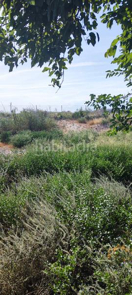 Foto 61e175ff-56a5-4e90-800b-0e19e0b9f0ba. Landgut in margen del rio segura 18 in Rincón de Seca Murcia