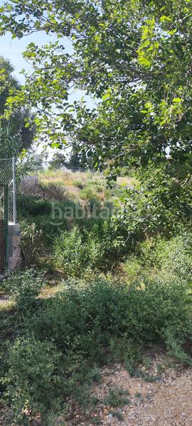 Foto 883efc7b-402f-43ce-b0d3-186d9fd44d43. Landgut in margen del rio segura 18 in Rincón de Seca Murcia