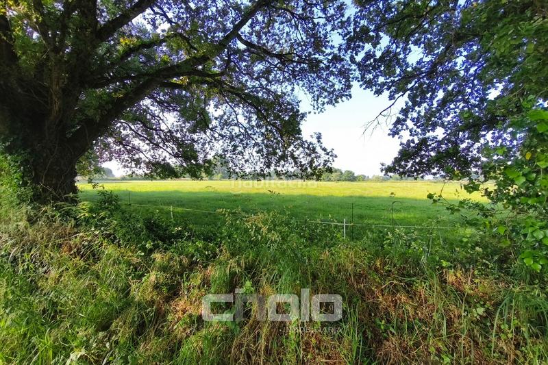 Foto 11d150f8-be36-4f16-af74-6e9f83e8f770. Wohngrundstück in Outeiro de Rei