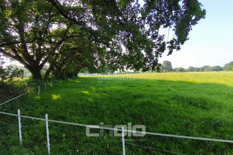 Foto 14c8da51-6bee-40a5-8bc4-4d4b57a988bf. Wohngrundstück in Outeiro de Rei