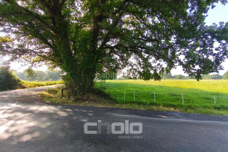 Foto 721fae65-91a7-4dbf-a2b8-9e1a3c9e7332. Wohngrundstück in Outeiro de Rei