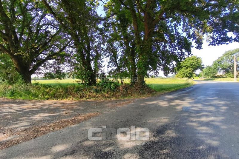 Foto 99b38114-a4a4-4919-b7b0-1a3ac6e4d84a. Wohngrundstück in Outeiro de Rei