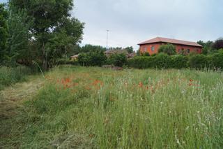 Terreno residenziale  Calle carretera