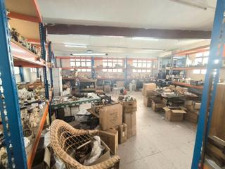 Local Comercial  Calle miguel ngel