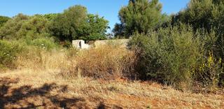 Rural plot in Diseminado poligono 2 602